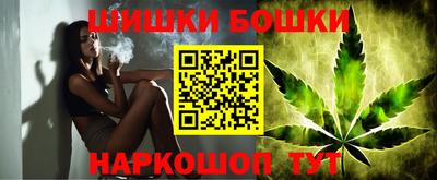 сатива Новодвинск