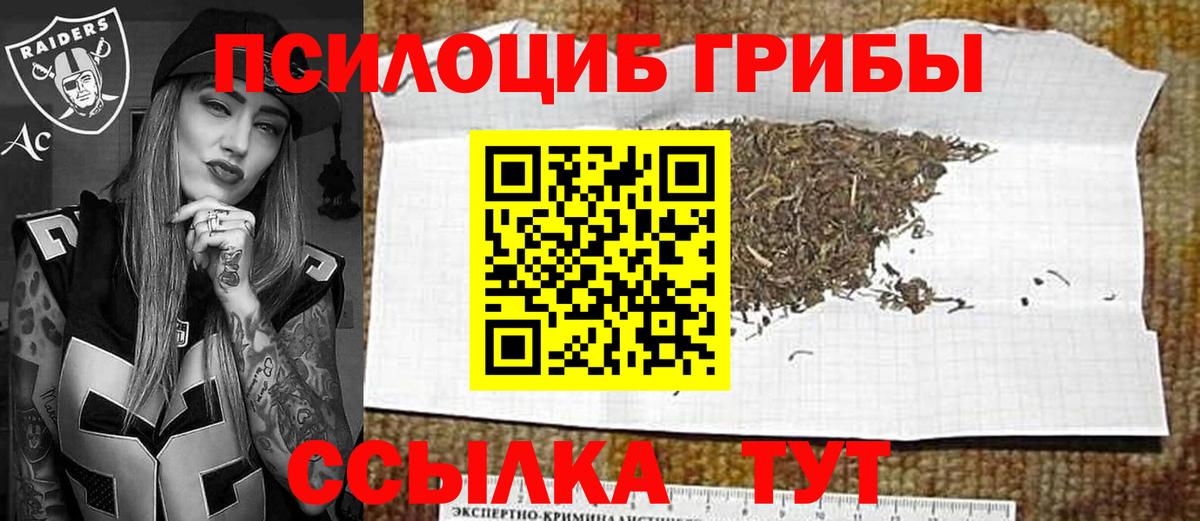 Псилоцибиновые грибы мухоморы Новозыбков