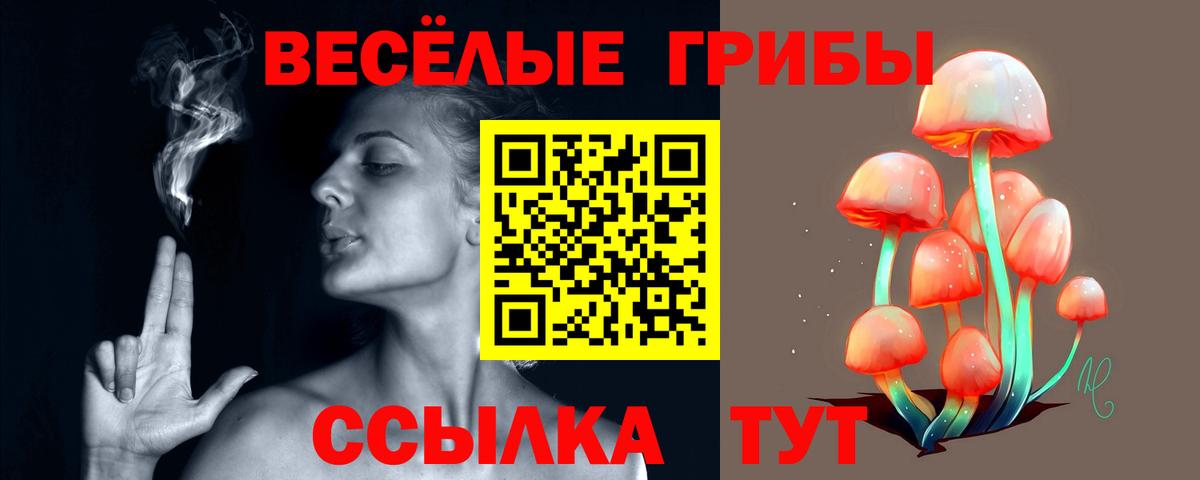 Новозыбков  Галлюциногенные грибы Psilocybe  купить  сайты  Вход с VPN 